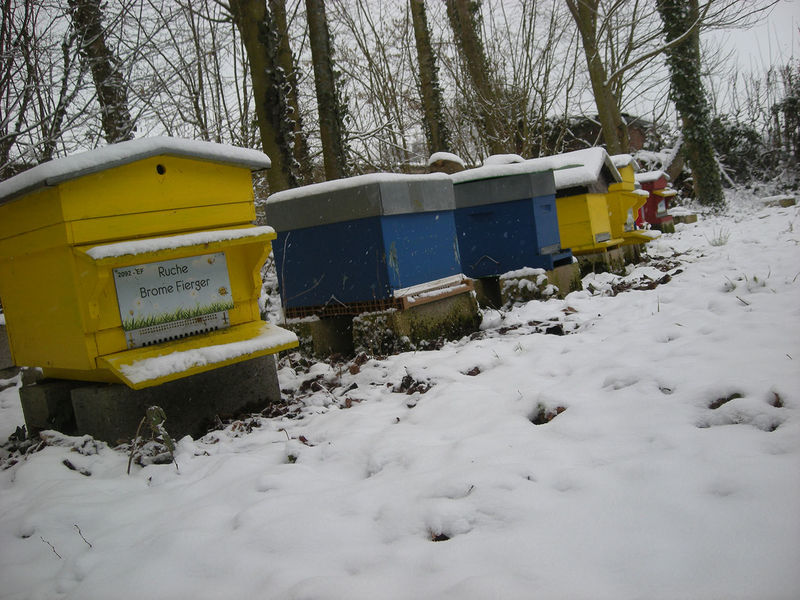 La ruche Brome Fierger